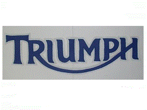 Hinckley Triumph 13 inch synthetic leather back patch blue/white